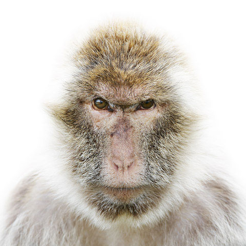 Berber Morten-Koldby photography