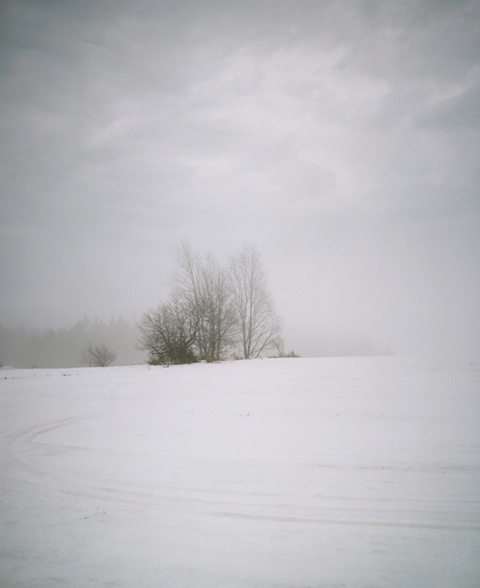 alexi_hobbs_photography