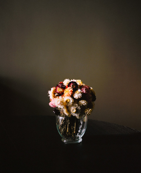 alexi_hobbs_photography
