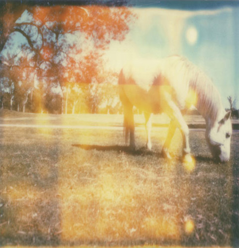 fernanda_montoro_photography