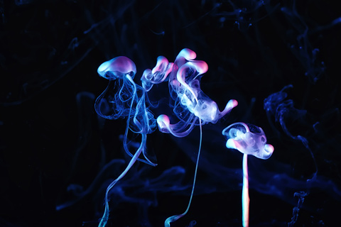 macro photography liquids Markus Reugels