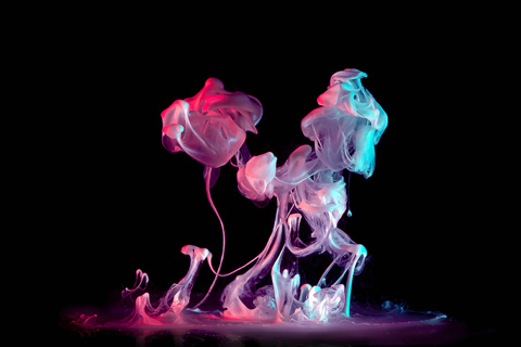 macro photography liquids Markus Reugels