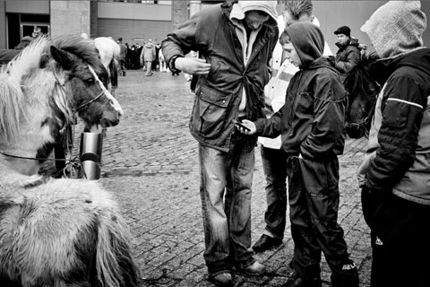 Dublin Abandoned Horses Gianpaolo La Paglia photography Dublin Abandoned Horses Gianpaolo La Paglia photography