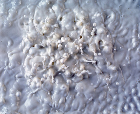 Beethoven vibrating through milk photography sara-naim-new-york
