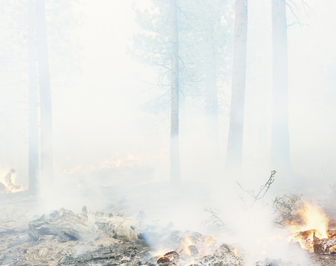 Youngsuk Suh photography fire Youngsuk Suh photography fire