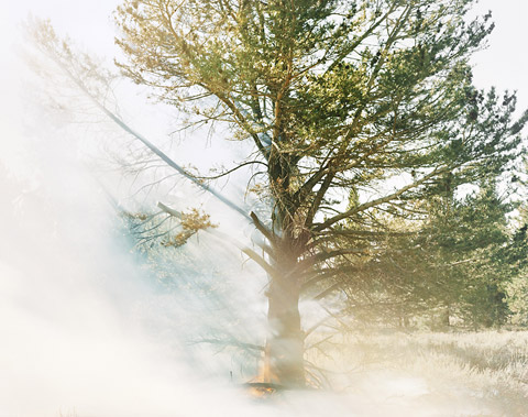 Youngsuk-Suh photography wildfire Youngsuk-Suh photography wildfire