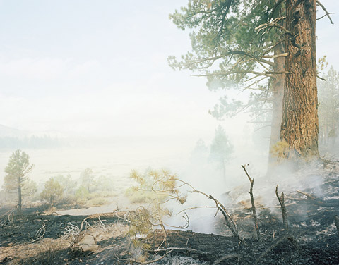 Youngsuk-Suh photography wildfire Youngsuk-Suh photography wildfire