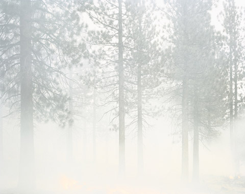 Youngsuk Suh photography fire Youngsuk Suh photography fire