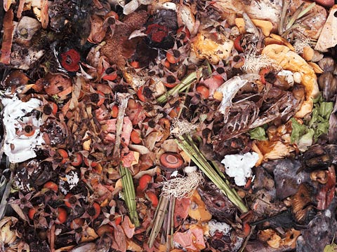 compost frederic-delangle photography compost frederic-delangle photography