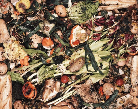 compost frederic-delangle photography compost frederic-delangle photography