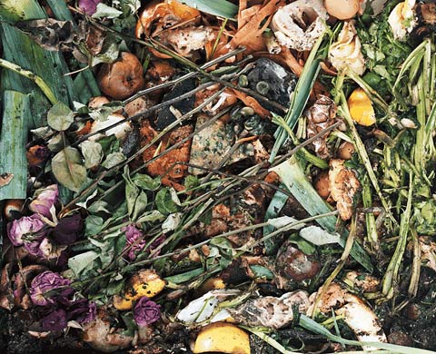 compost frederic-delangle photography compost frederic-delangle photography