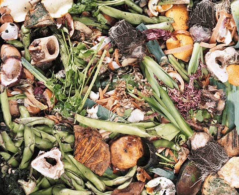 compost frederic-delangle photography compost frederic-delangle photography