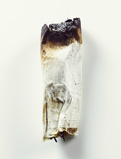 joshua scott photography roaches
