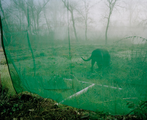 maureen_drennan_photography maureen_drennan_photography