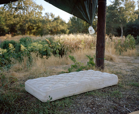 maureen_drennan_photography maureen_drennan_photography
