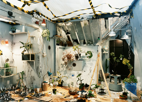 anne_hardy_photography anne_hardy_photography