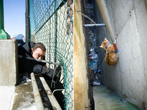 Animal Care and Control New York Brian-Kennedy photography 