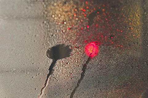 Ellen-Yeiser photography