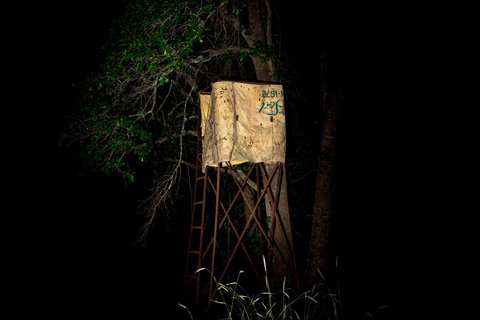 deer stand hunting stand jesse burke photography