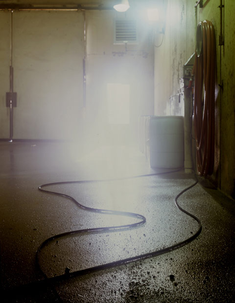 karolina karlic  photography