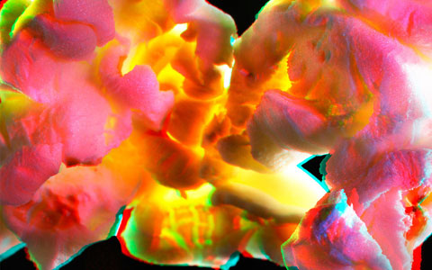 3D popcorn Kfir-Ziv photography