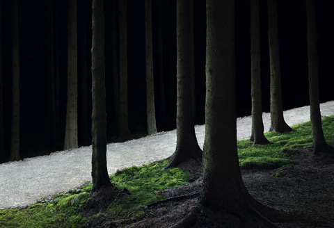 Tim-Simmons photography