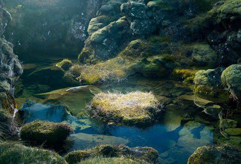 Tim-Simmons photography