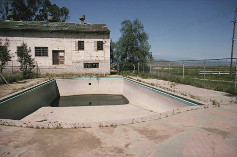 backyard_oasis