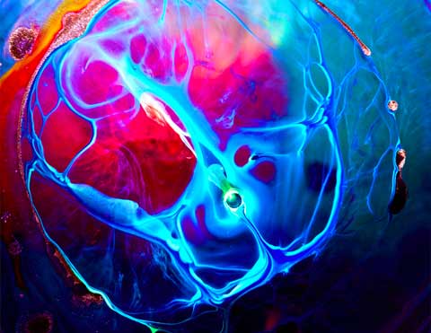 macro ink water pery burge photography macro ink water pery burge photography
