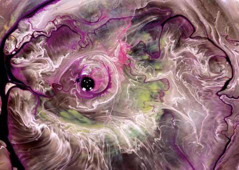 macro ink water pery burge photography macro ink water pery burge photography