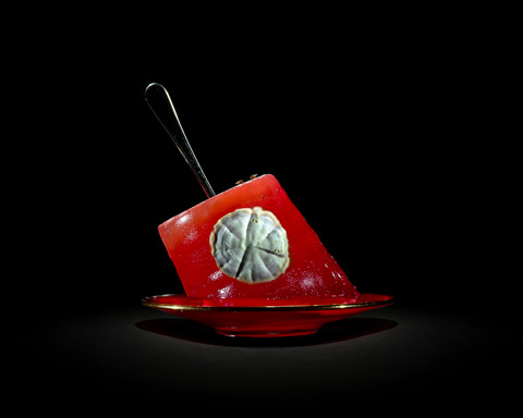 Rotten Jelly Klaus-Pichler14
