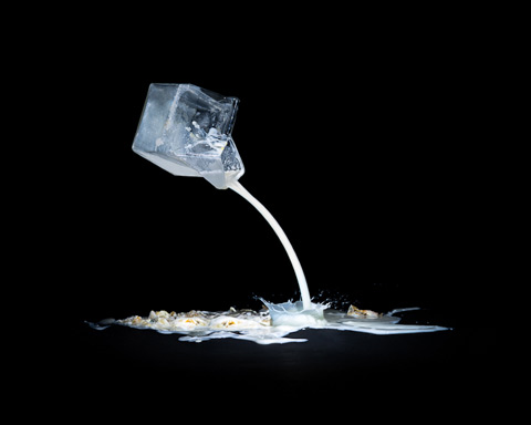 rotting milk Klaus Pichler