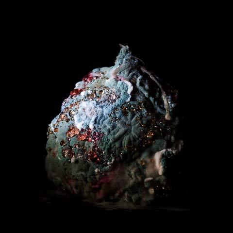 Macro photos decaying vegetables Heikki-Leis Macro photos decaying vegetables Heikki-Leis