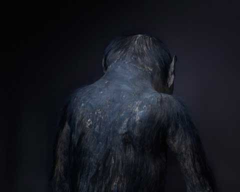taxidermy monkeys primates Perttu-Saksa photography taxidermy monkeys primates Perttu-Saksa photography