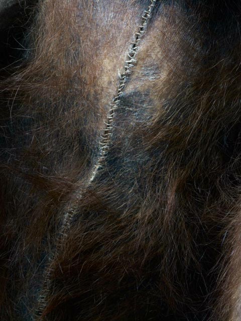 taxidermy monkeys primates Perttu-Saksa photography taxidermy monkeys primates Perttu-Saksa photography