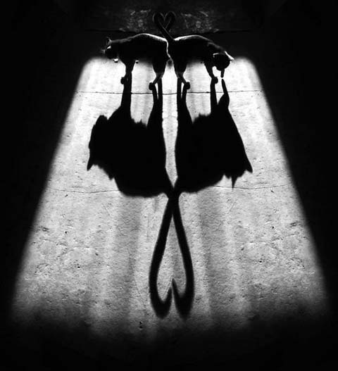 Alexey-Bednij shadow portraits