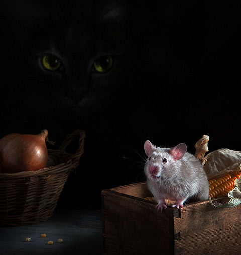 Elena-Eremina photography Elena-Eremina photography