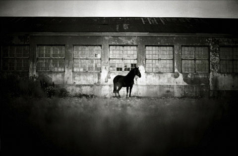 Mustafah-Abdulaziz photography