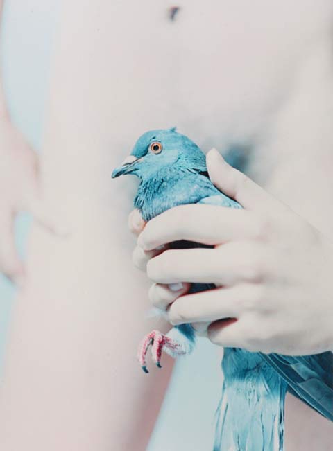 Mayumi Hosokura photography