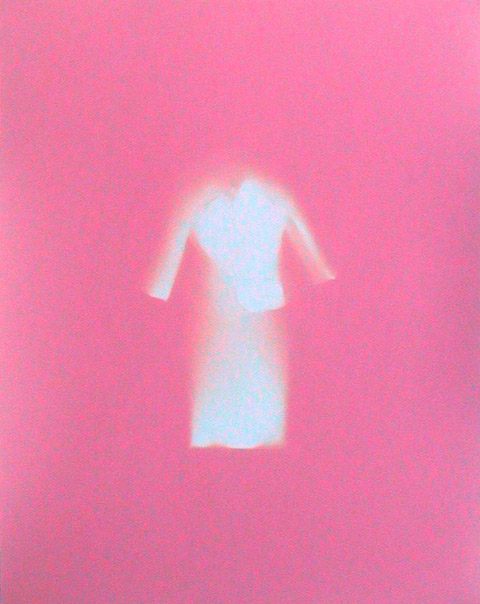 f&d-cartier photograms fashion