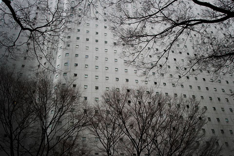 Tokyo Salvi-Danes photography