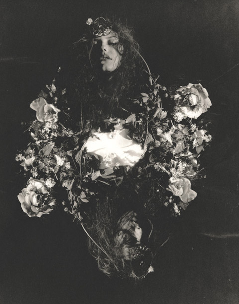 ellen-rogers photography ellen-rogers photography