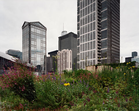 City Hall Chicago Rooftop Garden