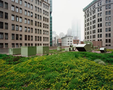 Rooftop garden Highmark Building (looking West) - Pittsburgh, PA May 2011