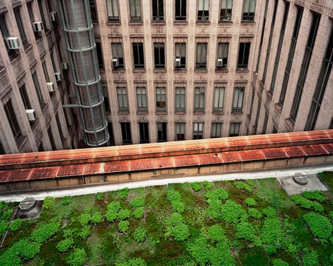 rooftop garden Mellon Institute (looking North) - Pittsburgh, PA May 2011