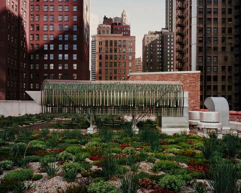 rooftop garden Randolph Street (looking North) - Chicago, IL May 2010 rooftop garden Randolph Street (looking North) - Chicago, IL May 2010
