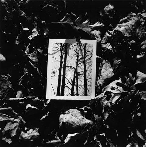 Kenneth-Josephson