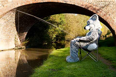 At Home With The Furries