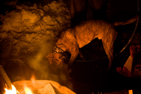 Brett_Gundlock_Photography Brett_Gundlock_Photography