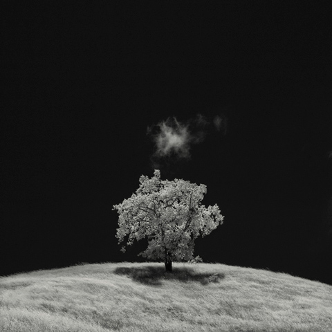 Nathan_Wirth_photography Nathan_Wirth_photography